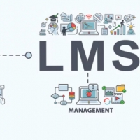 LMS Development Service In Noida